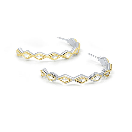gold and silver hoop earrings
