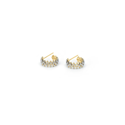 gold hoop statement earrings