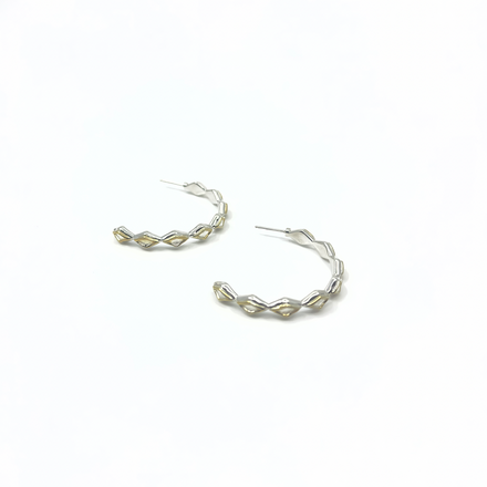 elana hoops