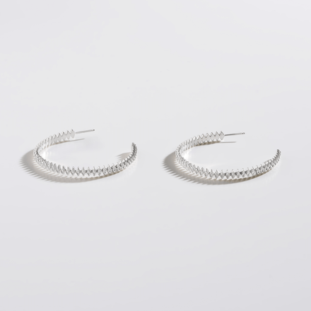 CASSIDY HOOPS - rraine